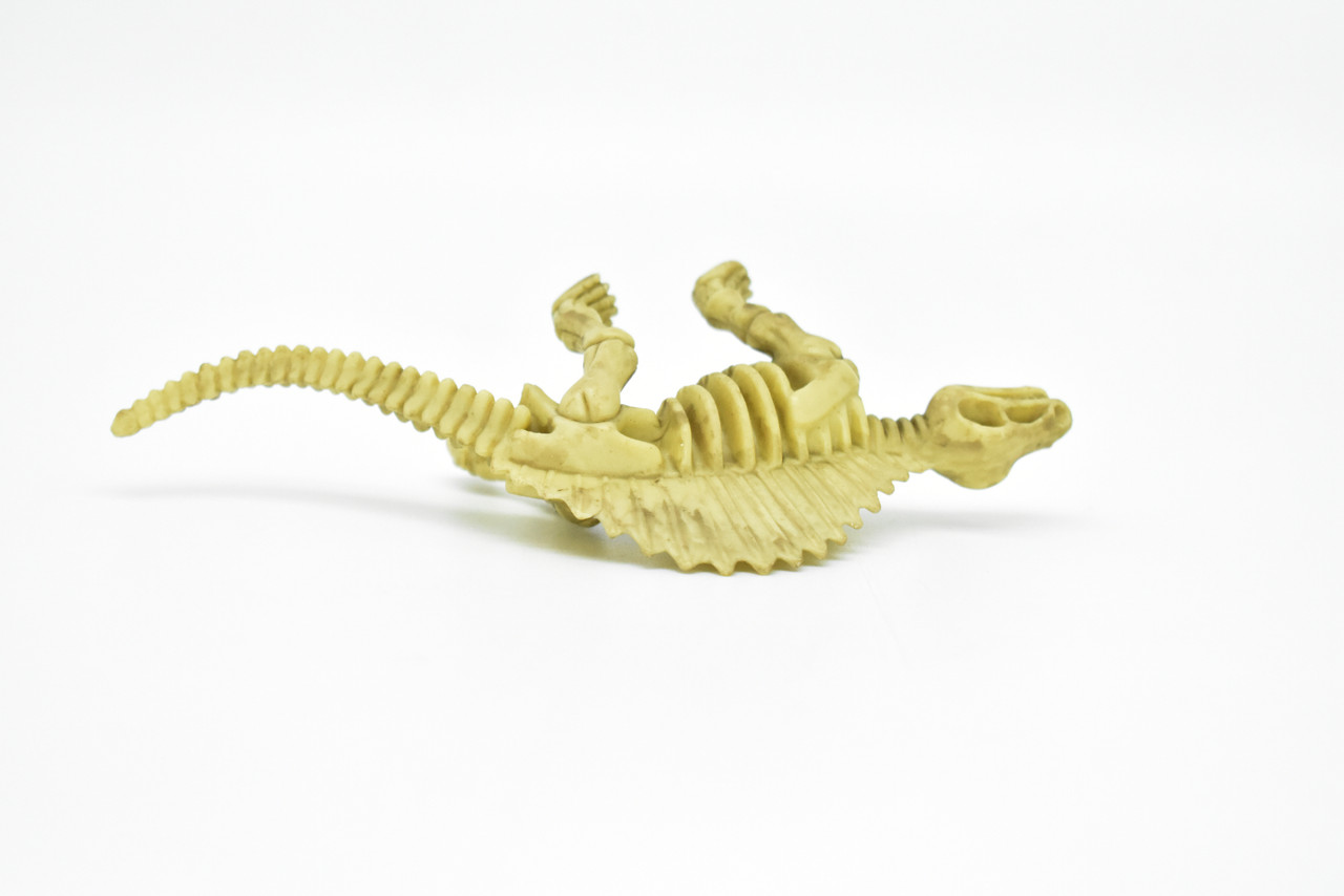 Dimetrodon Dinosaur, Skeleton, Very Nice Plastic Replica    5 1/2"   -   F3292 B66