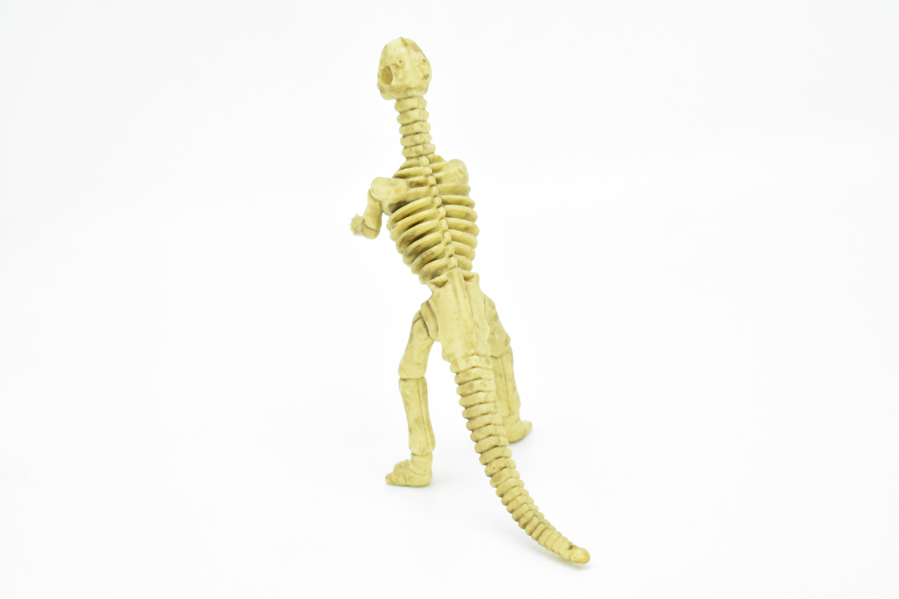 Micropachycephalosaurus Dinosaur, Skeleton, Very Nice Plastic Replica 5"   F3293 B66