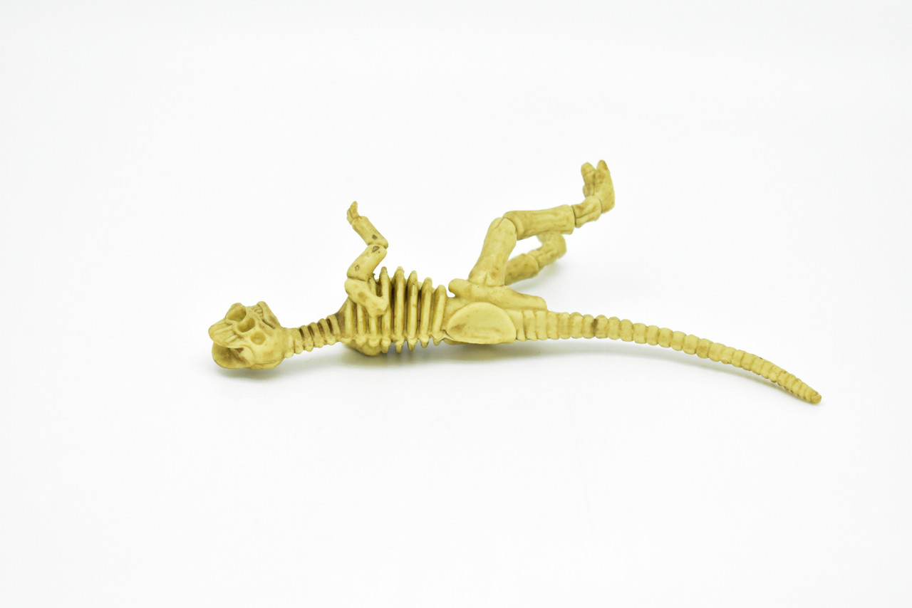 Dilophosaurus Dinosaur, Skeleton, Plastic Replica   6"  -   F3294 B66