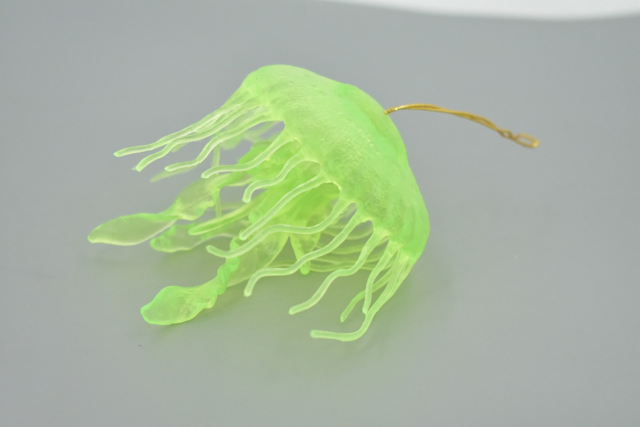 Jellyfish, Sea Jelly, Green, Gelatinous zooplankton, Rubber, Jelly fish, Design, Educational, Figure, Lifelike, Model, Replica, Gift,    3 1/2"     F3385 B106