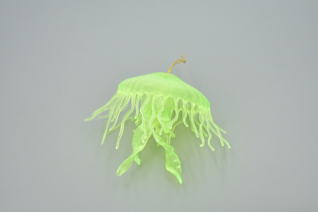 Jellyfish, Sea Jelly, Green, Gelatinous zooplankton, Rubber, Jelly fish, Design, Educational, Figure, Lifelike, Model, Replica, Gift,    3 1/2"     F3385 B106