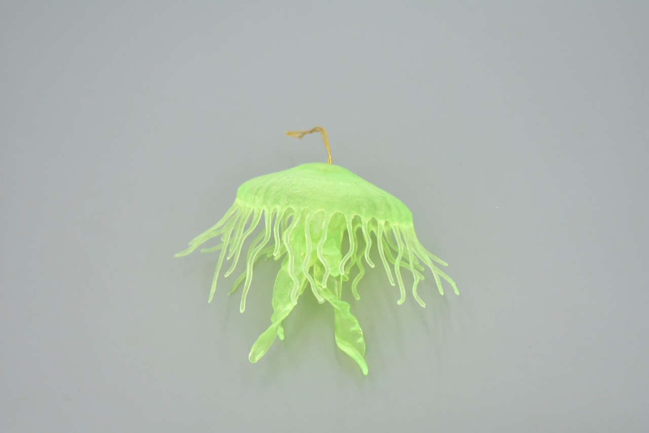 Jellyfish, Sea Jelly, Green, Gelatinous zooplankton, Rubber, Jelly fish, Design, Educational, Figure, Lifelike, Model, Replica, Gift,    3 1/2"     F3385 B106