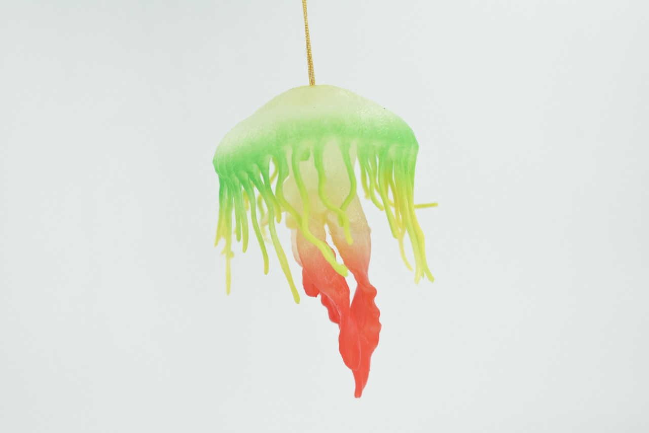 Jellyfish, Sea Jelly, Green and Red, Gelatinous zooplankton, Rubber, Jelly fish, Design, Educational, Figure, Lifelike, Model, Replica, Gift,    3 1/2"      F3386 B106