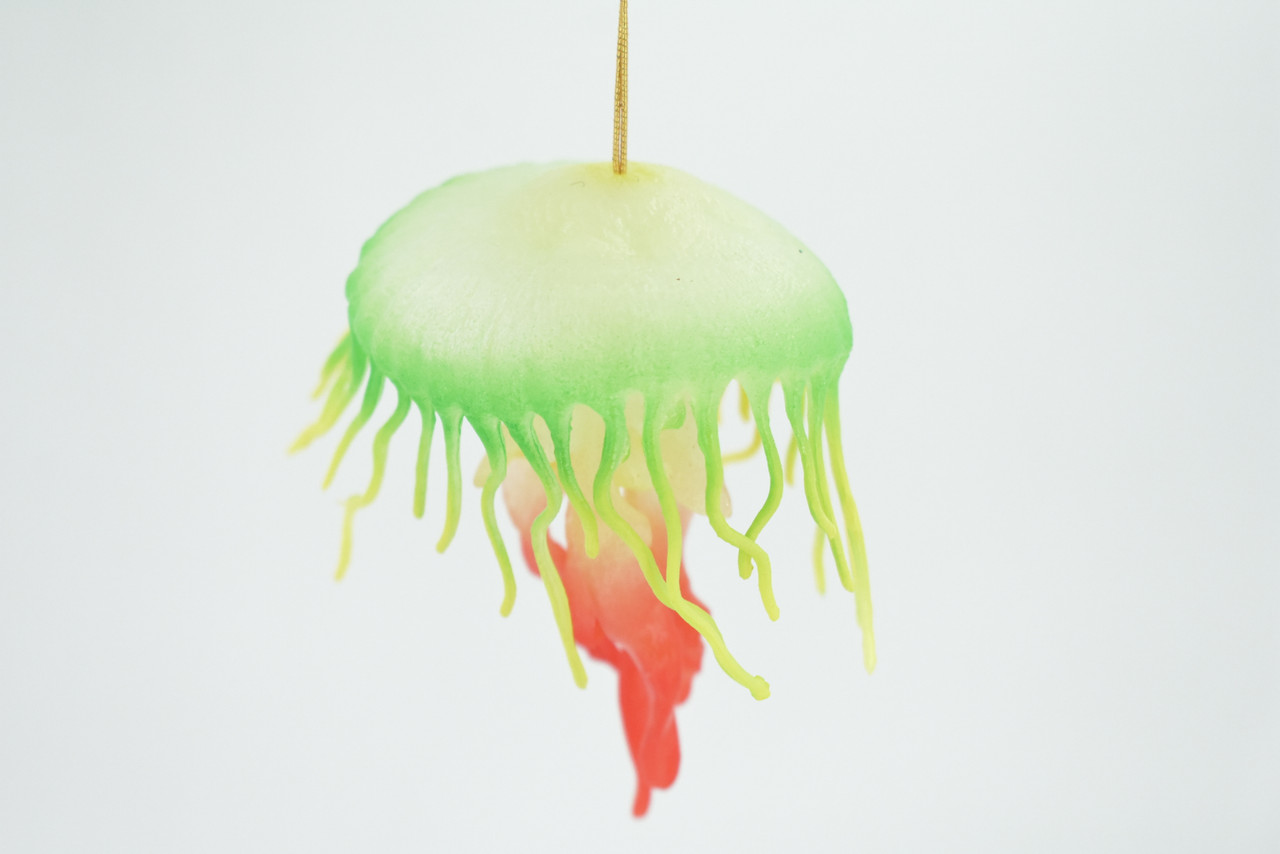 Jellyfish, Sea Jelly, Green and Red, Gelatinous zooplankton, Rubber, Jelly fish, Design, Educational, Figure, Lifelike, Model, Replica, Gift,    3 1/2"      F3386 B106