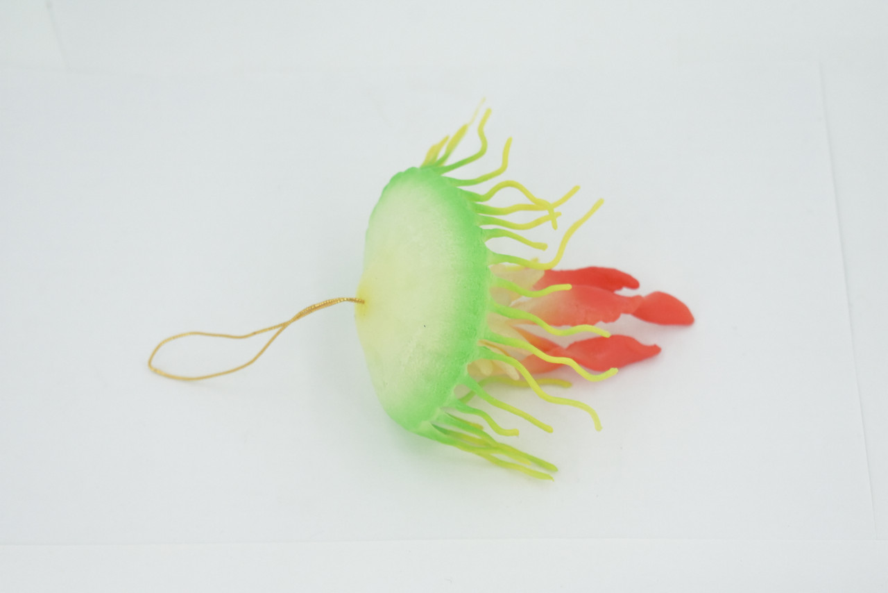 Jellyfish, Sea Jelly, Green and Red, Gelatinous zooplankton, Rubber, Jelly fish, Design, Educational, Figure, Lifelike, Model, Replica, Gift,    3 1/2"      F3386 B106