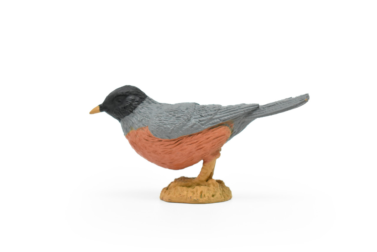 Robin, Bird, Very Nice Rubber Bird, Educational, Realistic, Hand Painted, Figure, Lifelike Model, Figurine, Replica, Gift,  2 1/2"   F3387 B27
