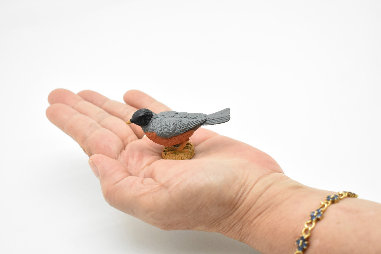 Robin, Bird, Very Nice Rubber Bird, Educational, Realistic, Hand Painted, Figure, Lifelike Model, Figurine, Replica, Gift,  2 1/2"   F3387 B27
