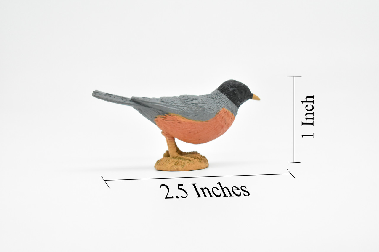 Robin, Bird, Very Nice Rubber Bird, Educational, Realistic, Hand Painted, Figure, Lifelike Model, Figurine, Replica, Gift,  2 1/2"   F3387 B27
