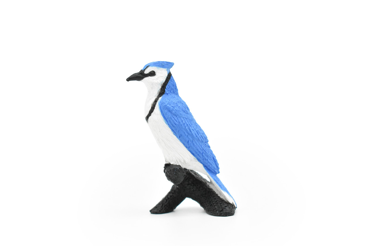 Blue Jay,  Rubber Bird, Educational, Realistic, Hand Painted, Figure, Lifelike Model, Figurine, Replica, Gift,    2 1/2"  