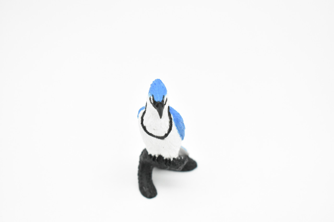Blue Jay,  Rubber Bird, Educational, Realistic, Hand Painted, Figure, Lifelike Model, Figurine, Replica, Gift,    2 1/2"  