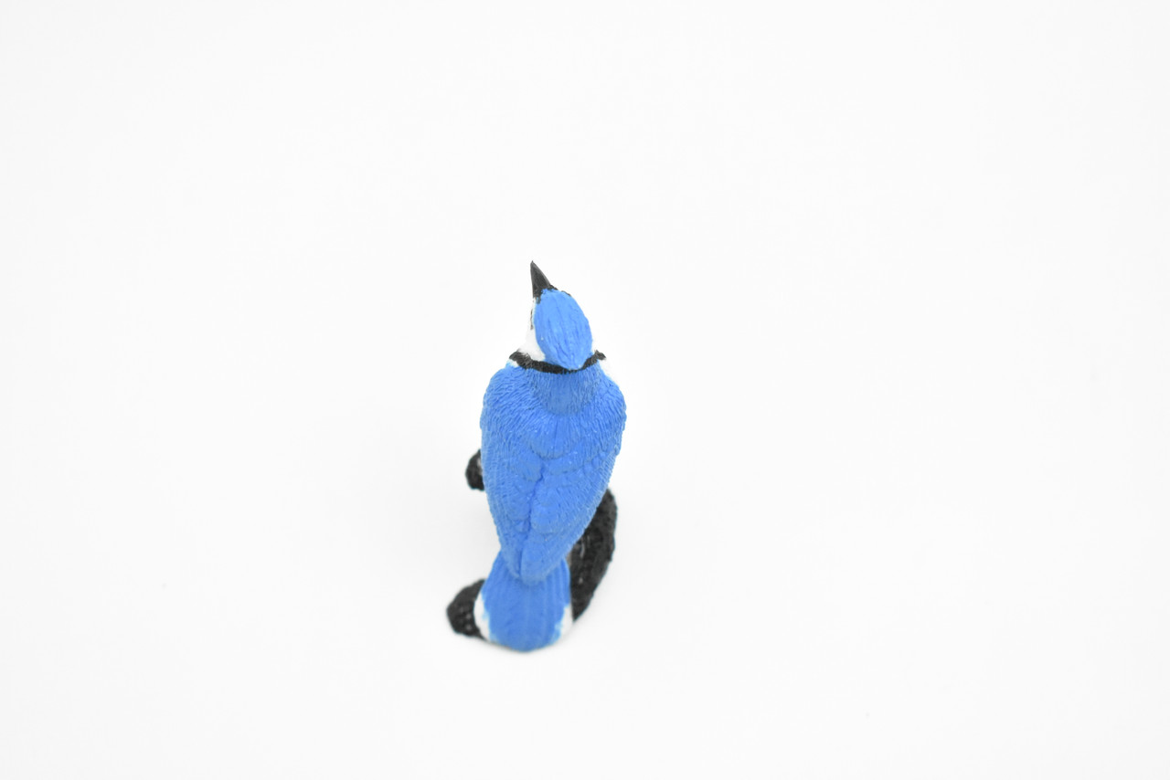 Blue Jay, Bird, Nice Plastic Reproduction     2 1/2"     F3388 B27