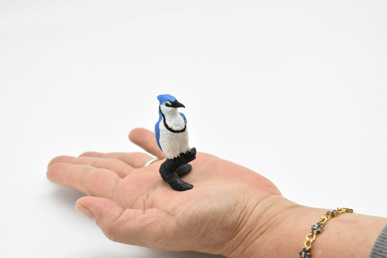 Blue Jay,  Rubber Bird, Educational, Realistic, Hand Painted, Figure, Lifelike Model, Figurine, Replica, Gift,    2 1/2"  