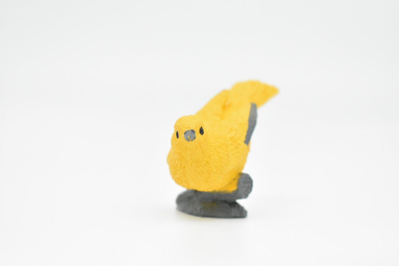 Yellow Warbler, Very Nice Rubber Bird, Educational, Realistic, Hand Painted, Figure, Lifelike Model, Figurine, Replica, Gift,    2 1/2"     F3389 B27