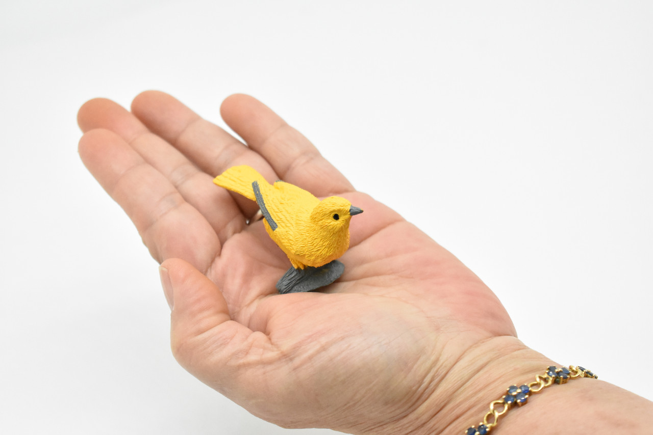 Yellow Warbler, Very Nice Rubber Bird, Educational, Realistic, Hand Painted, Figure, Lifelike Model, Figurine, Replica, Gift,    2 1/2"     F3389 B27
