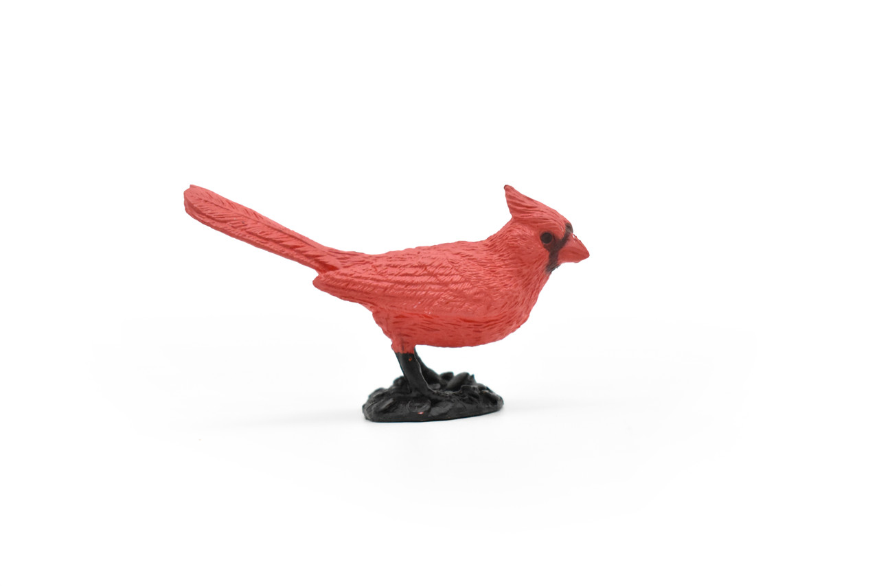 Cardinal Bird, Very Nice Rubber Bird, Educational, Realistic, Hand Painted, Figure, Lifelike Model, Figurine, Replica, Gift,   2 1/2"    F3390 B27
