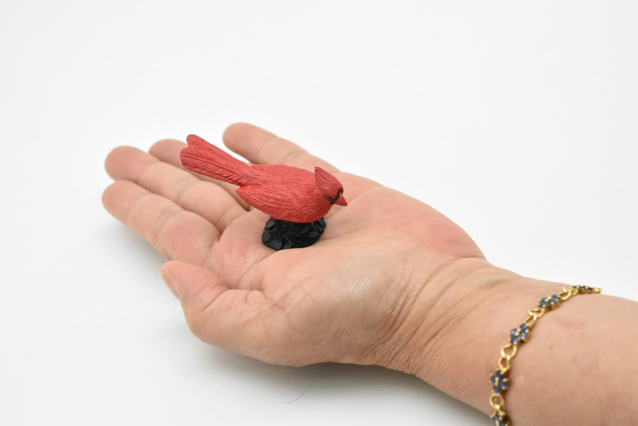 Cardinal Bird, Very Nice Rubber Bird, Educational, Realistic, Hand Painted, Figure, Lifelike Model, Figurine, Replica, Gift,   2 1/2"    F3390 B27
