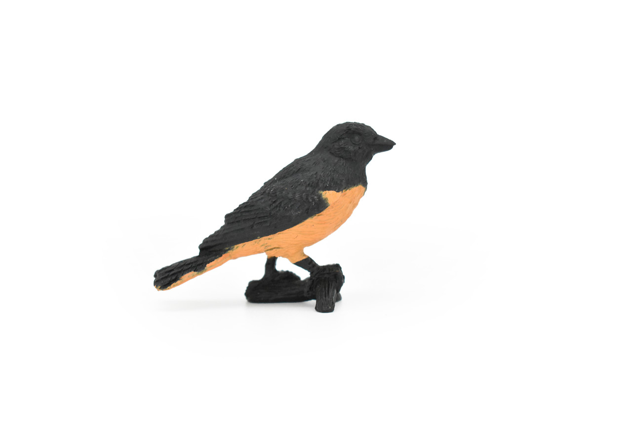 Oriole, Baltimore, Rubber Bird, Educational, Realistic, Hand Painted, Figure, Lifelike Model, Figurine, Replica, Gift,      2" 
