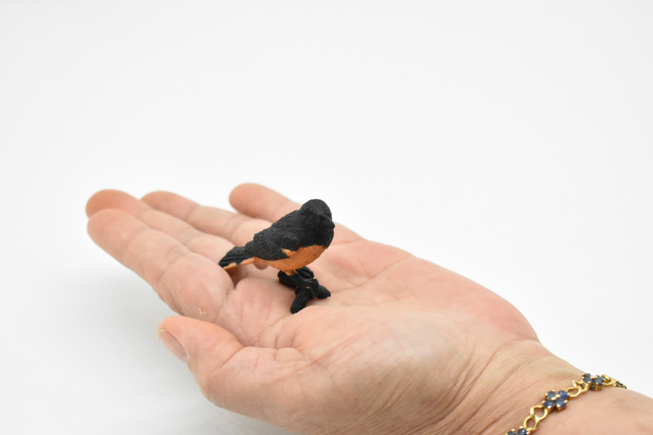 Oriole, Baltimore, Rubber Bird, Educational, Realistic, Hand Painted, Figure, Lifelike Model, Figurine, Replica, Gift,      2" 