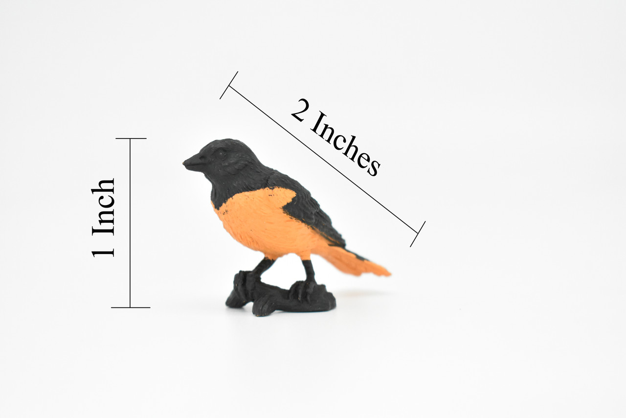 Oriole, Baltimore, Rubber Bird, Educational, Realistic, Hand Painted, Figure, Lifelike Model, Figurine, Replica, Gift,      2" 