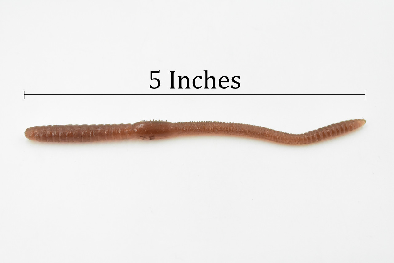 Worm, Earthworm, Rubbery, Toy, Kids Gift, Realistic Figure, Educational Model, Replica, Gift,     5 1/2 inches long       F3396 B38