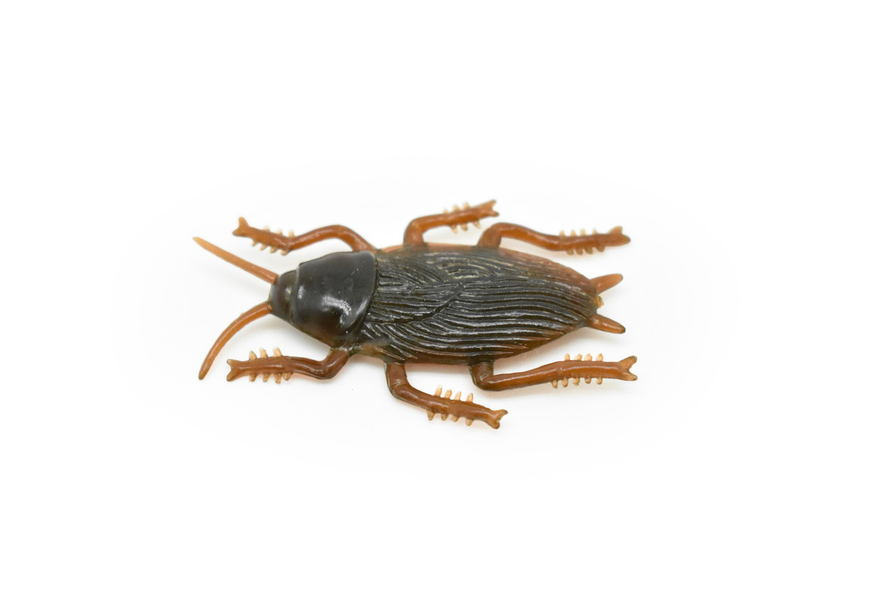 Cockroach, Flexible,  Very Nice Rubber Reproduction   2"     F3399 B39