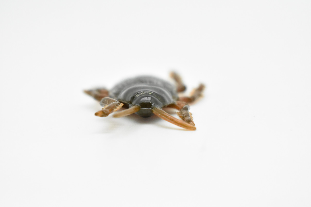 Cockroach, Flexible,  Very Nice Rubber Reproduction   2"     F3399 B39