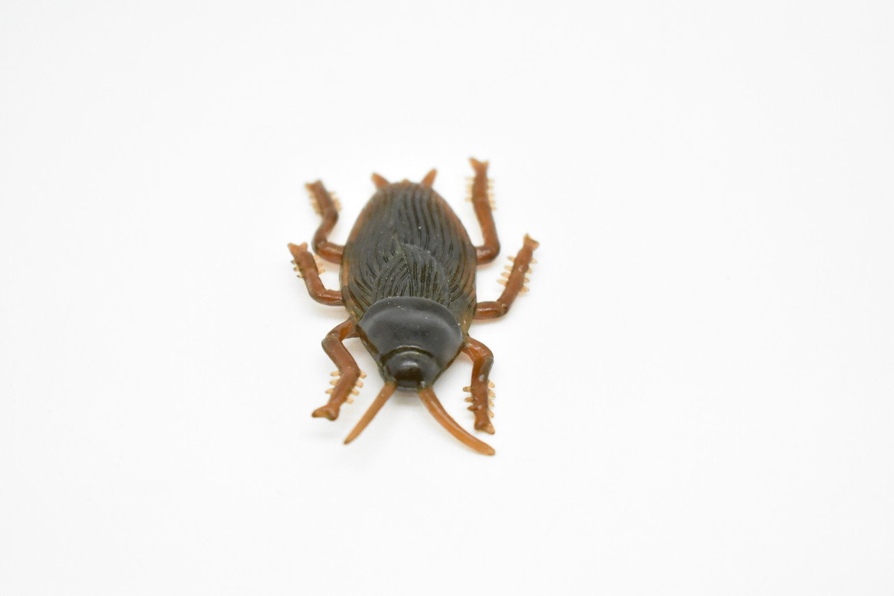 Cockroach, Flexible,  Very Nice Rubber Reproduction   2"     F3399 B39