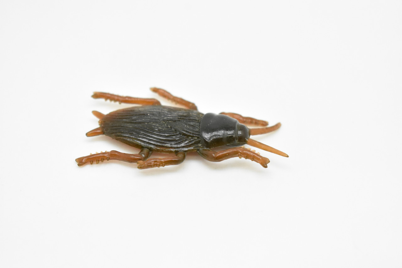 Cockroach, Flexible,  Very Nice Rubber Reproduction   2"     F3399 B39