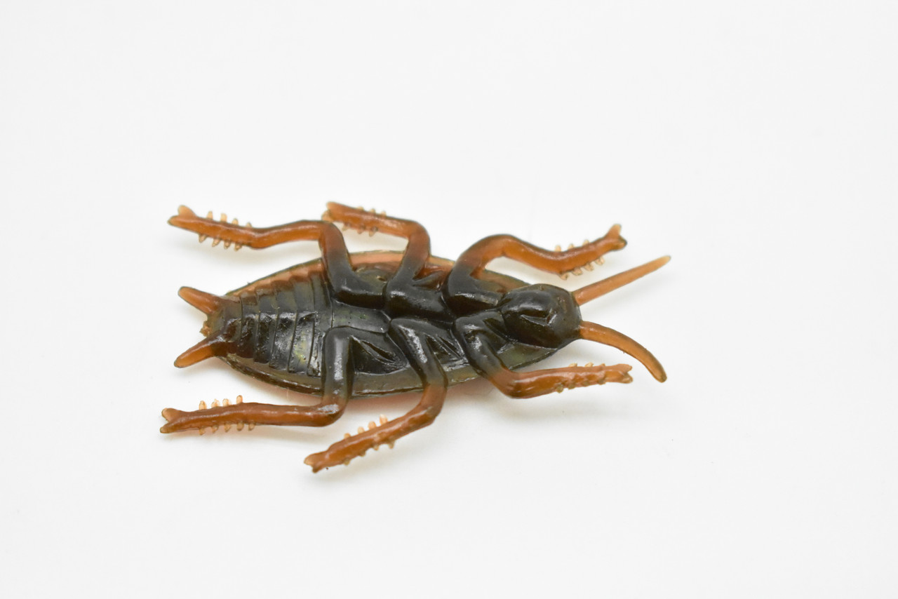 Cockroach, Flexible,  Very Nice Rubber Reproduction   2"     F3399 B39