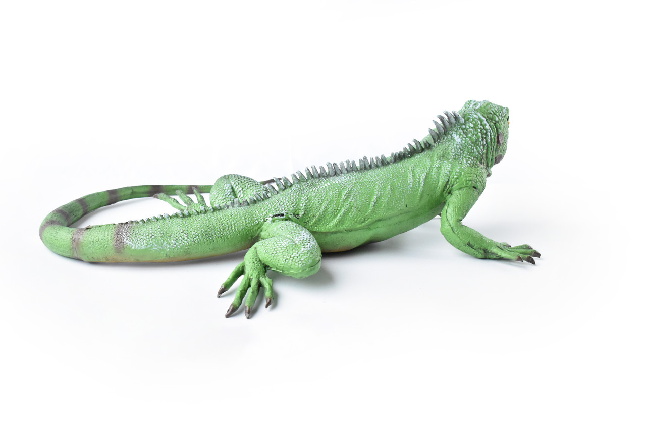 Iguana, Lizard, Museum Quality, Foam Rubber Reptile, Toy, Educational, Realistic Hand Painted Figure, Lifelike Model, Figurine, Replica, Gift,   40"    F3403 BB63