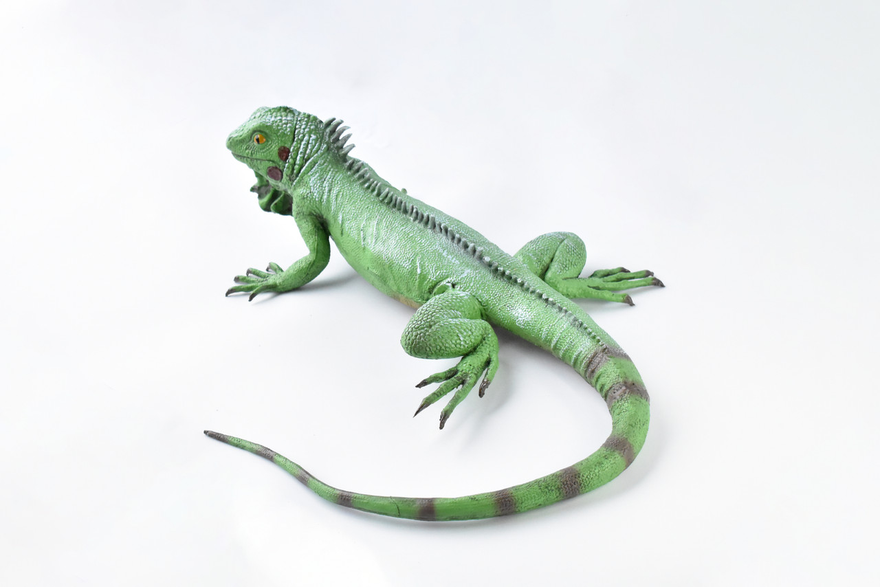 Iguana, Lizard, Museum Quality, Foam Rubber Reptile, Toy, Educational, Realistic Hand Painted Figure, Lifelike Model, Figurine, Replica, Gift,   40"    F3403 BB63