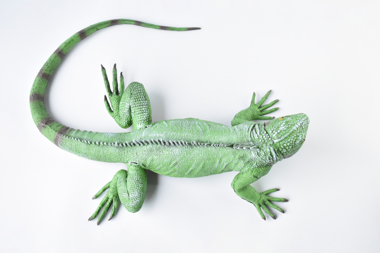 Iguana, Lizard, Museum Quality, Foam Rubber Reptile, Toy, Educational, Realistic Hand Painted Figure, Lifelike Model, Figurine, Replica, Gift,   40"    F3403 BB63