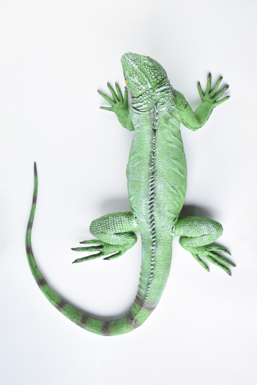 Iguana, Lizard, Museum Quality, Foam Rubber Reptile, Toy, Educational, Realistic Hand Painted Figure, Lifelike Model, Figurine, Replica, Gift,   40"    F3403 BB63