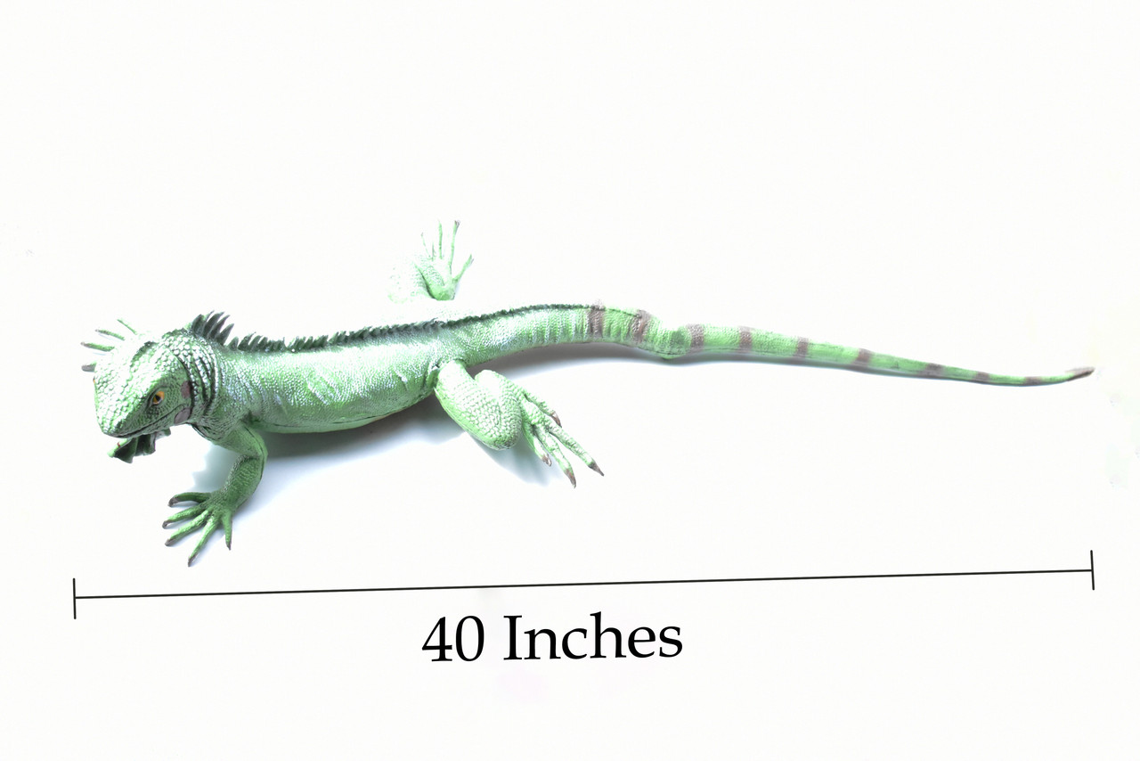 Iguana, Lizard, Museum Quality, Foam Rubber Reptile, Toy, Educational, Realistic Hand Painted Figure, Lifelike Model, Figurine, Replica, Gift,   40"    F3403 BB63