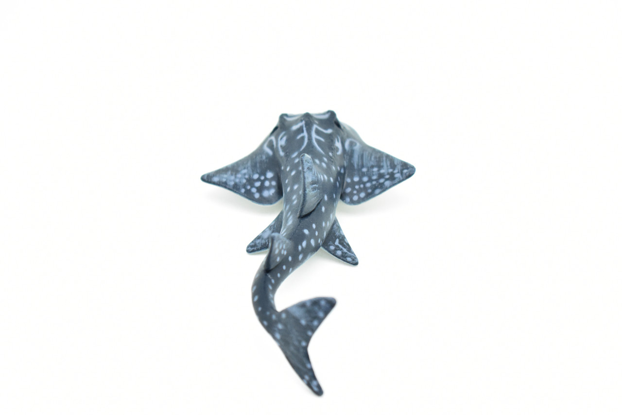 Shark Ray, Museum Quality Plastic Replica   5"  -    F3422 B212