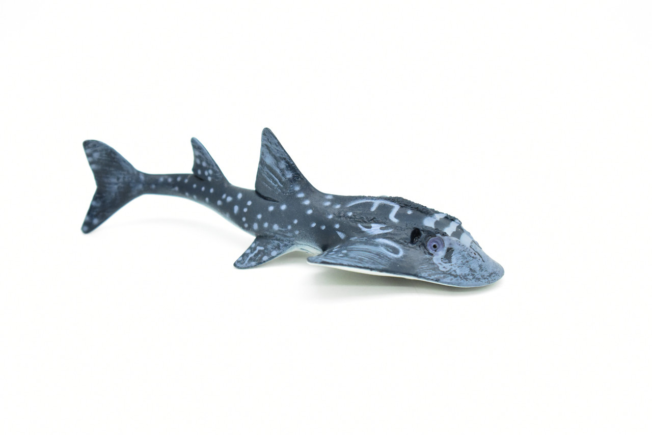 Shark Ray, Museum Quality Plastic Replica   5"  -    F3422 B212