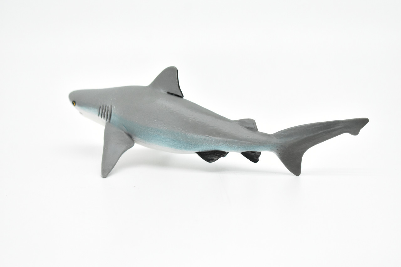 Bull Shark, Museum Quality Plastic Replica    6"   -  F3425 B212