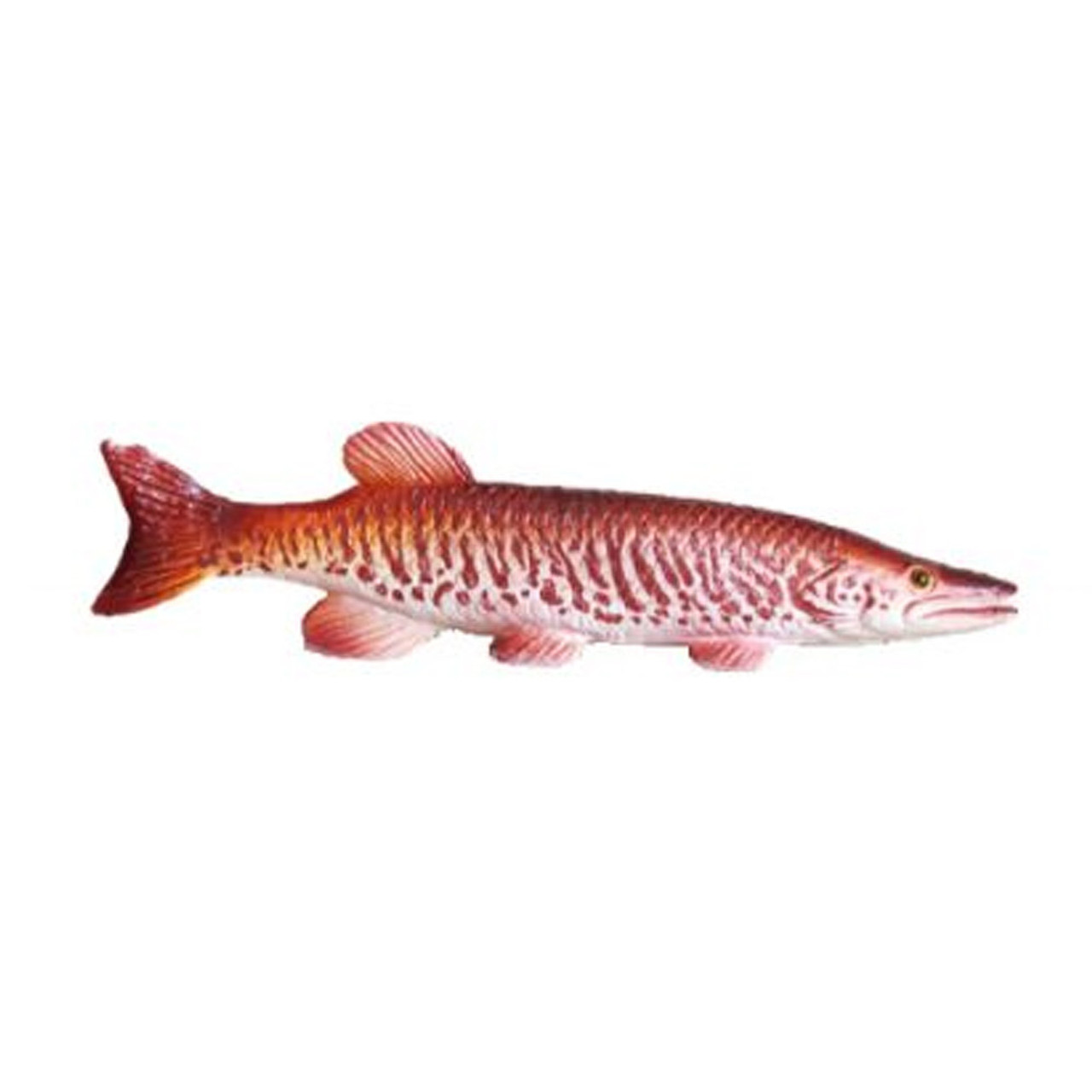 Tiger Musky Beautiful Fish Decal for Your Boat, Vehicle, Etc. Many Sizes  and Styles Available 12 to 40… : : Sports & Outdoors