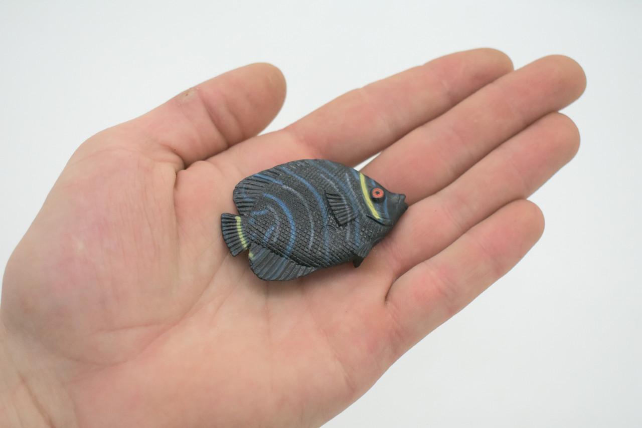 French AngelFish, Black Angel Fish, Rubber Fish Design, Realistic Figure, Educational, Figure, Lifelike, Toy Model, Figurine, Replica, Gift,       2 1/4"       F3450 B48