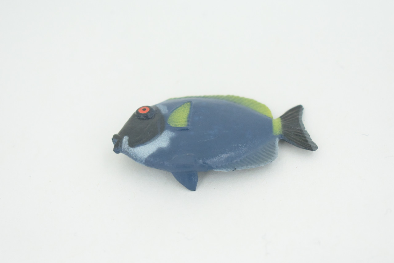 Surgeonfish, Tropical Powderblue Surgeonfish, Rubber Fish Design, Realistic Figure, Educational, Figure, Lifelike, Toy Model, Figurine, Replica, Gift,       2 1/4"      F3451 B48