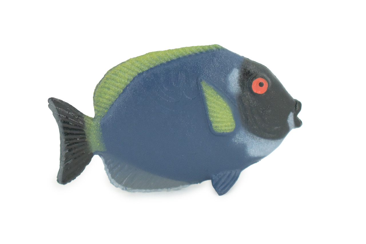 Surgeonfish, Tropical Powderblue Surgeonfish, Rubber Fish Design, Realistic Figure, Educational, Figure, Lifelike, Toy Model, Figurine, Replica, Gift,       2 1/4"      F3451 B48