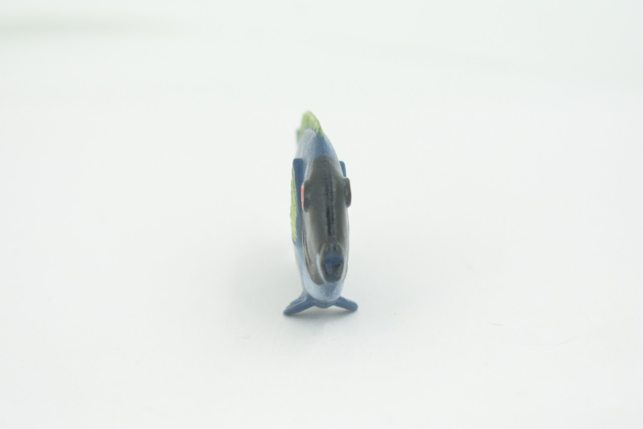 Surgeonfish, Tropical Powderblue Surgeonfish, Rubber Fish Design, Realistic Figure, Educational, Figure, Lifelike, Toy Model, Figurine, Replica, Gift,       2 1/4"      F3451 B48