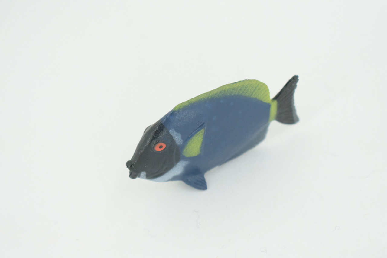 Surgeonfish, Tropical Powderblue Surgeonfish, Rubber Fish Design, Realistic Figure, Educational, Figure, Lifelike, Toy Model, Figurine, Replica, Gift,       2 1/4"      F3451 B48