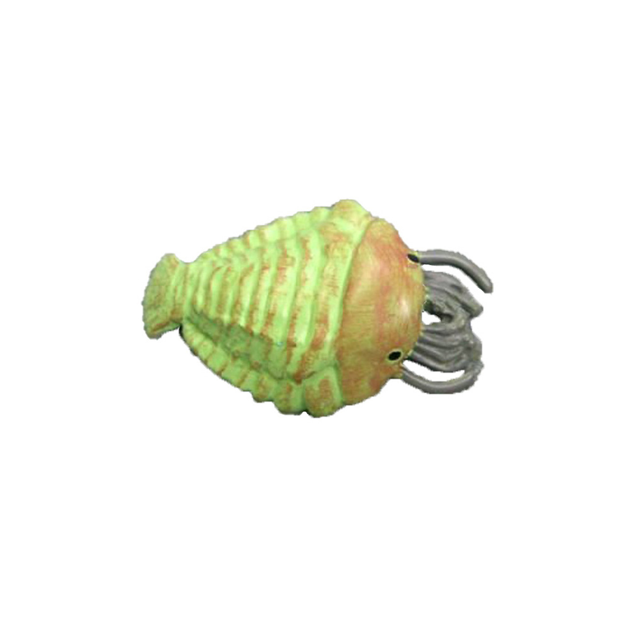 Sanctacaris Plastic Cambrian Sea Animal 