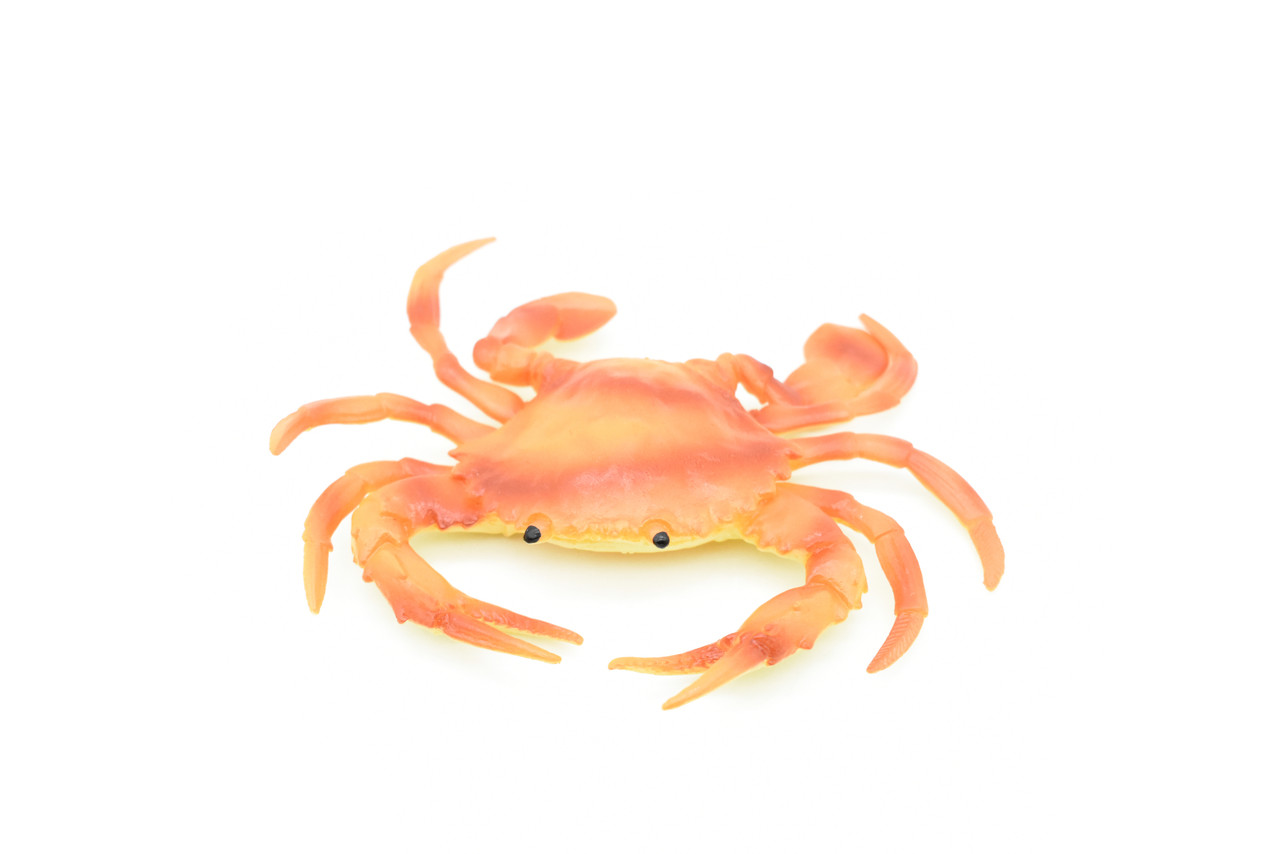 Crab, Orange Crab,  Rubber, Crustaceans, Educational, Realistic, Hand Painted, Figure, Lifelike Figurine, Replica, Gift,         5 1/2"        F3481 B125