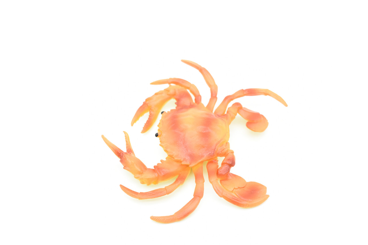 Crab, Orange Crab,  Rubber, Crustaceans, Educational, Realistic, Hand Painted, Figure, Lifelike Figurine, Replica, Gift,         5 1/2"        F3481 B125