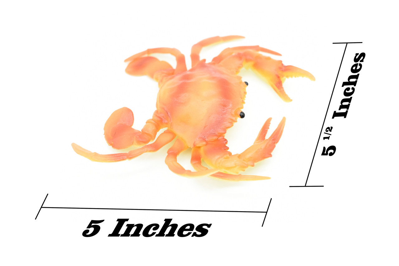 Crab, Orange Crab,  Rubber, Crustaceans, Educational, Realistic, Hand Painted, Figure, Lifelike Figurine, Replica, Gift,         5 1/2"        F3481 B125