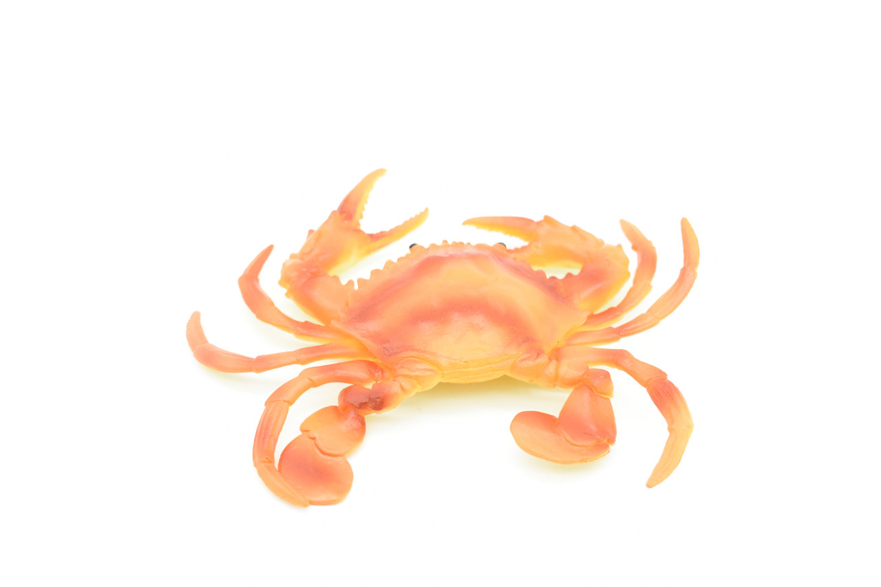 Crab, Orange Crab,  Rubber, Crustaceans, Educational, Realistic, Hand Painted, Figure, Lifelike Figurine, Replica, Gift,         5 1/2"        F3481 B125