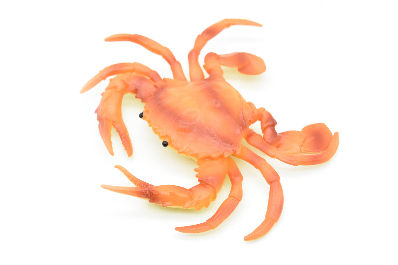 Crab, Orange Crab,  Rubber, Crustaceans, Educational, Realistic, Hand Painted, Figure, Lifelike Figurine, Replica, Gift,         5 1/2"        F3481 B125