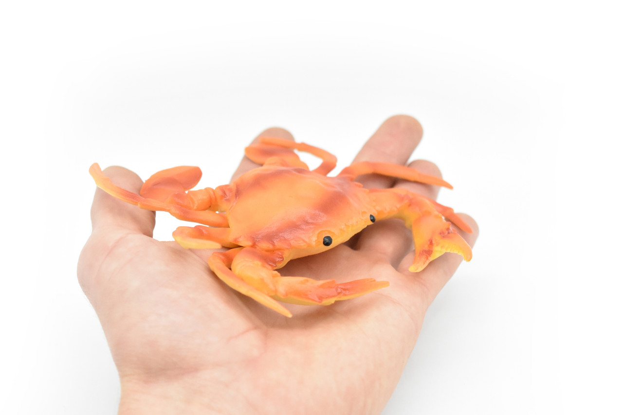 Crab, Orange Crab,  Rubber, Crustaceans, Educational, Realistic, Hand Painted, Figure, Lifelike Figurine, Replica, Gift,         5 1/2"        F3481 B125